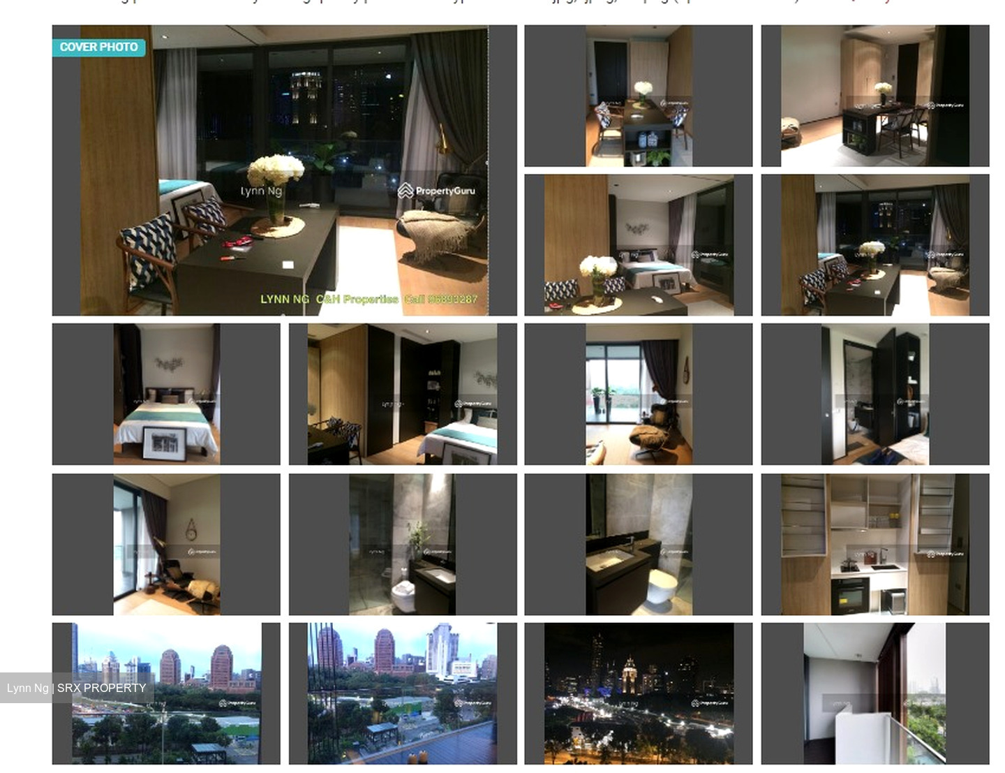 OUE Twin Peaks (D9), Condominium #494424571